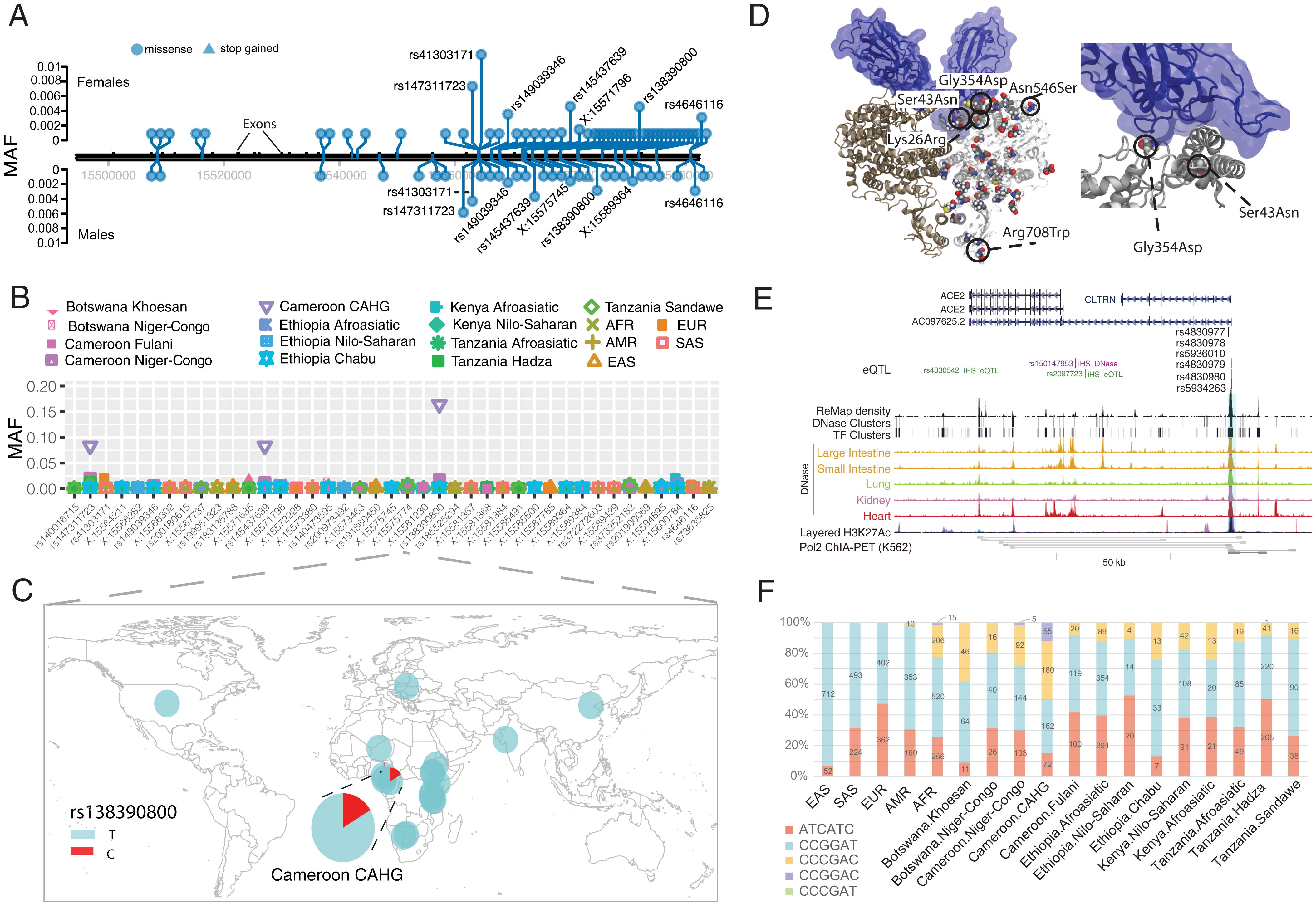 SARS-CoV-2 research visualization